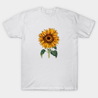 Sunflower Flora Positive Minimalist Retro Japanese Vintage T-Shirt